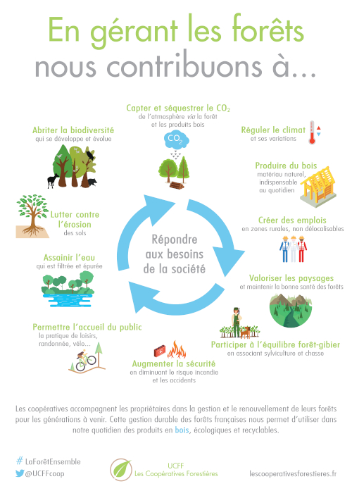 infographie vertues gestion des forêts
