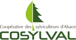logo cosylval